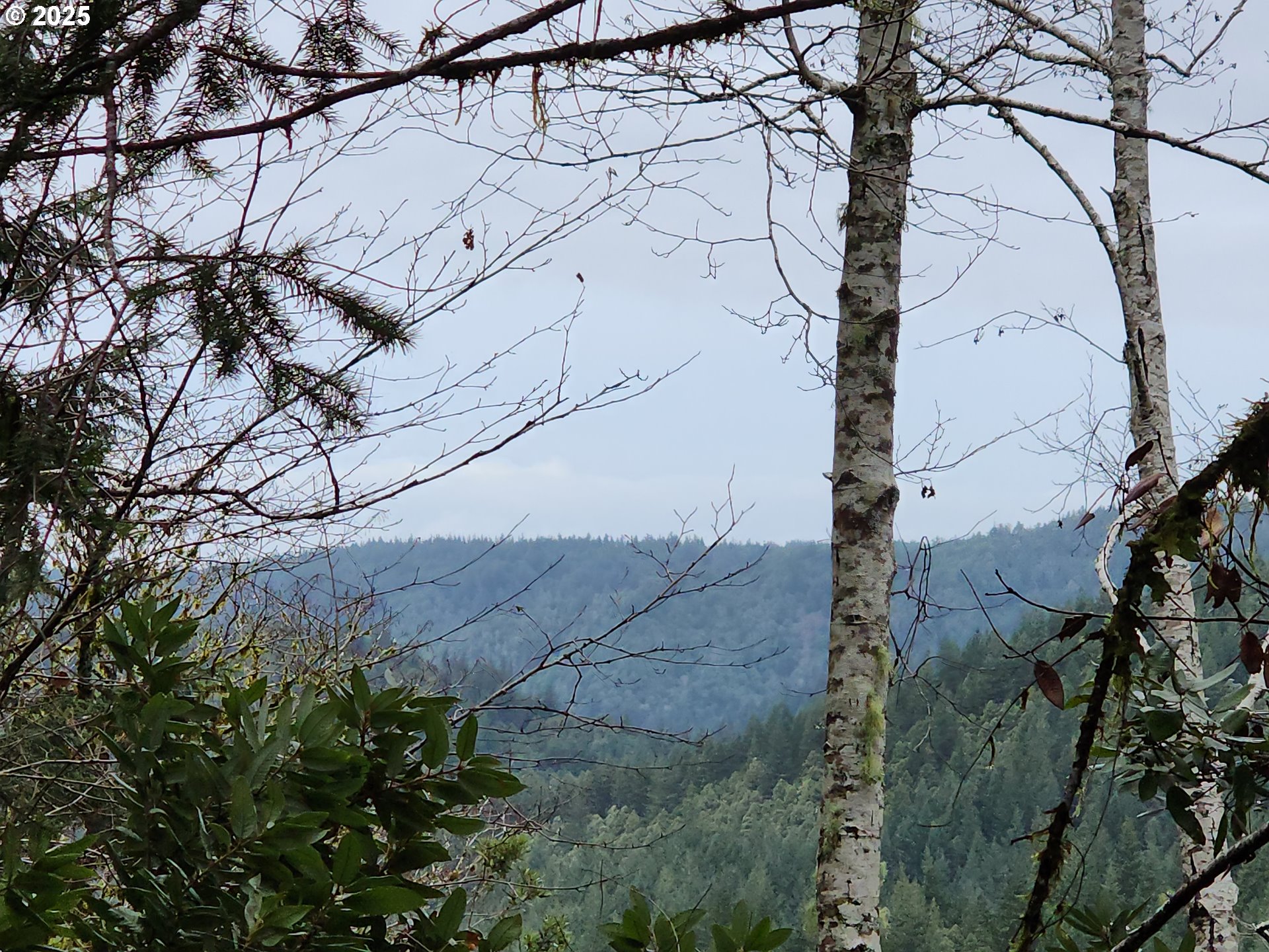 0 Southeast Elk River Road Port Orford, OR 97465 - Photo 25 of 30