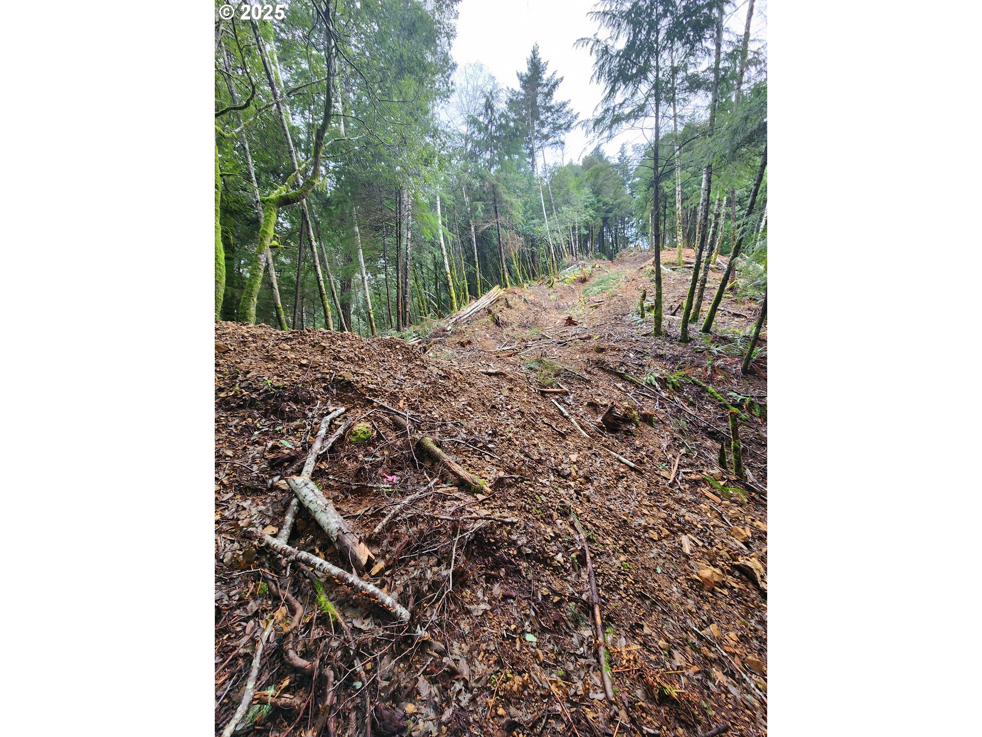 0 Southeast Elk River Road Port Orford, OR 97465 - Photo 26 of 30