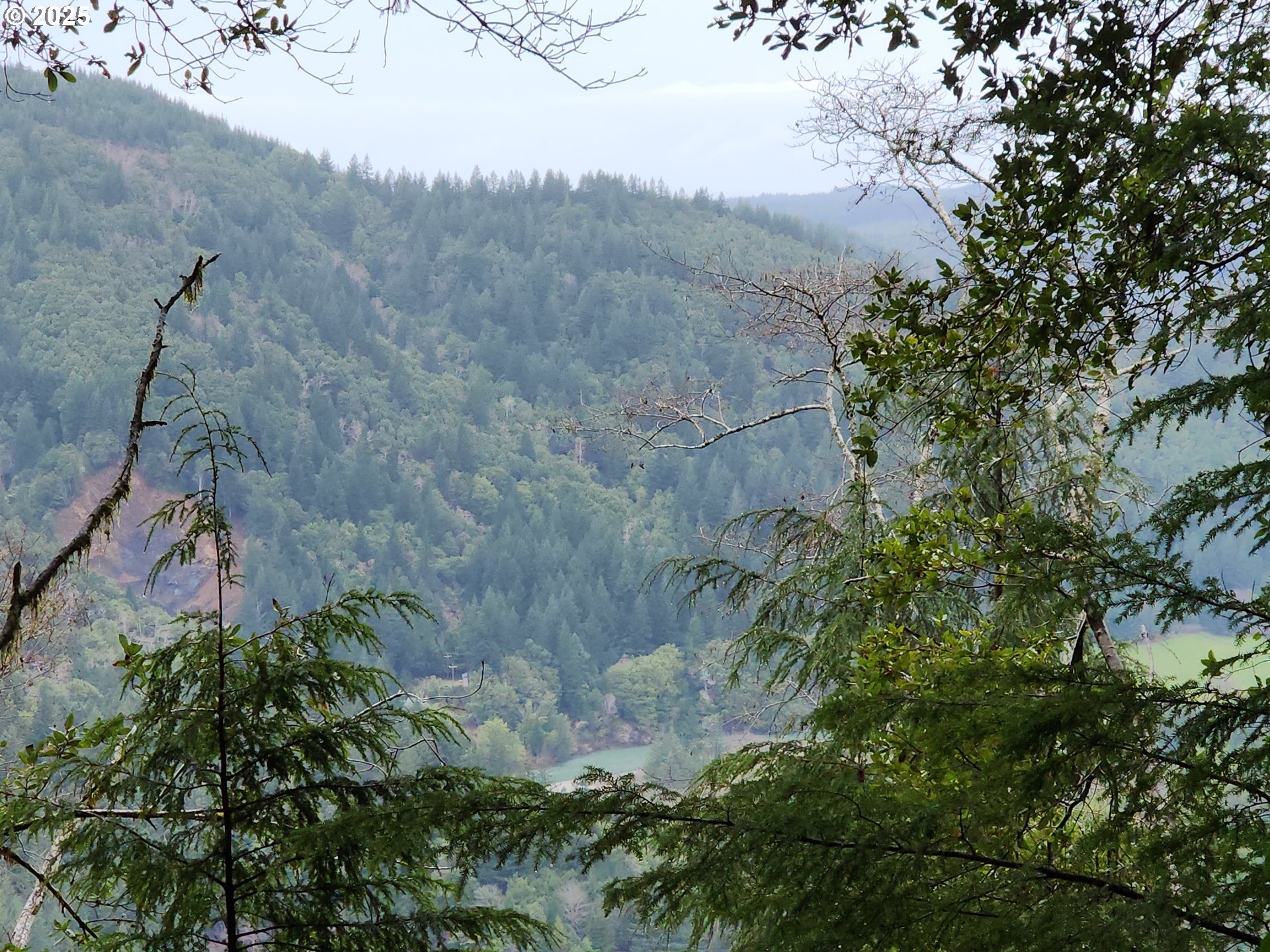 0 Southeast Elk River Road Port Orford, OR 97465 - Photo 27 of 30