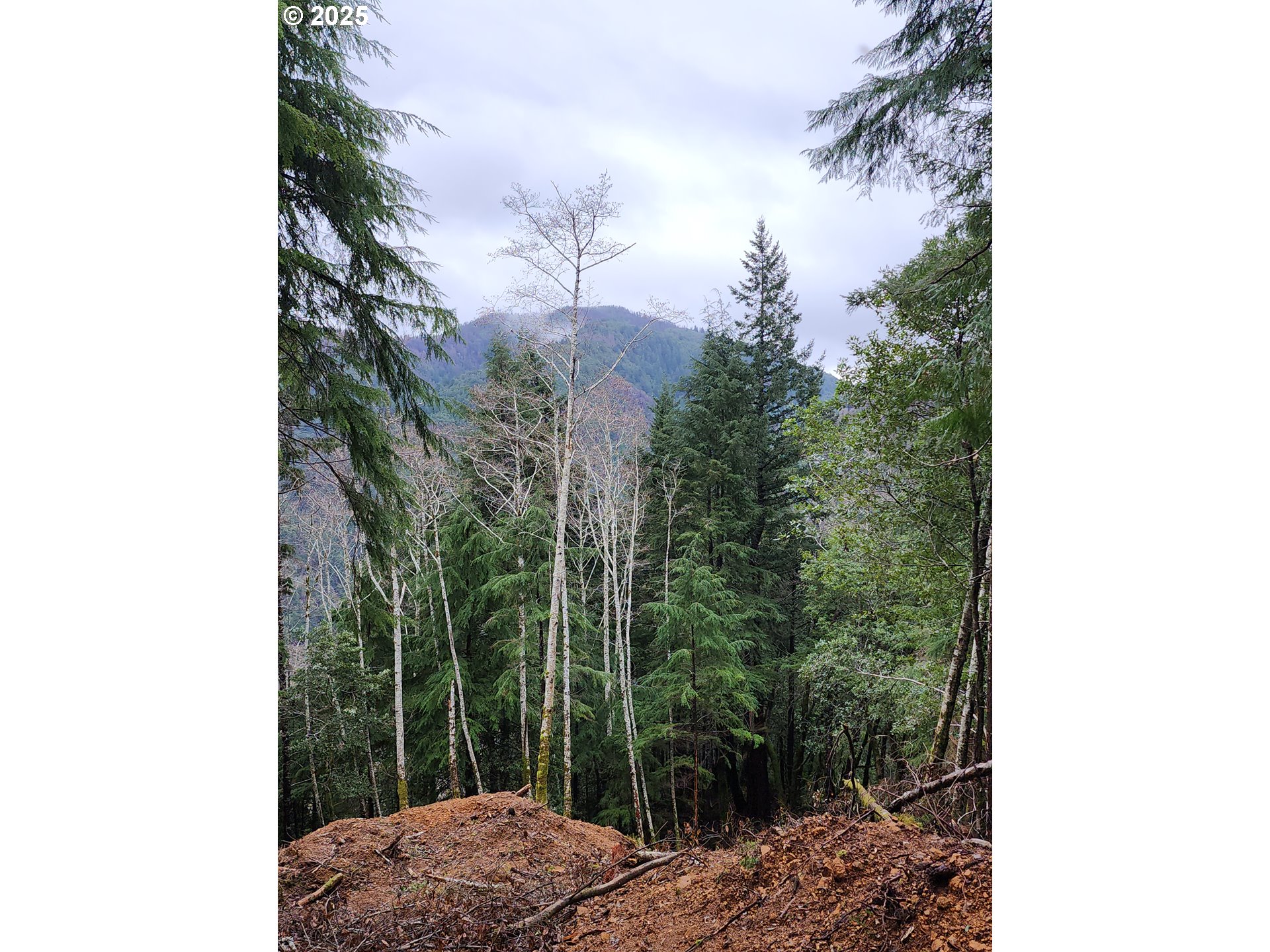 0 Southeast Elk River Road Port Orford, OR 97465 - Photo 28 of 30