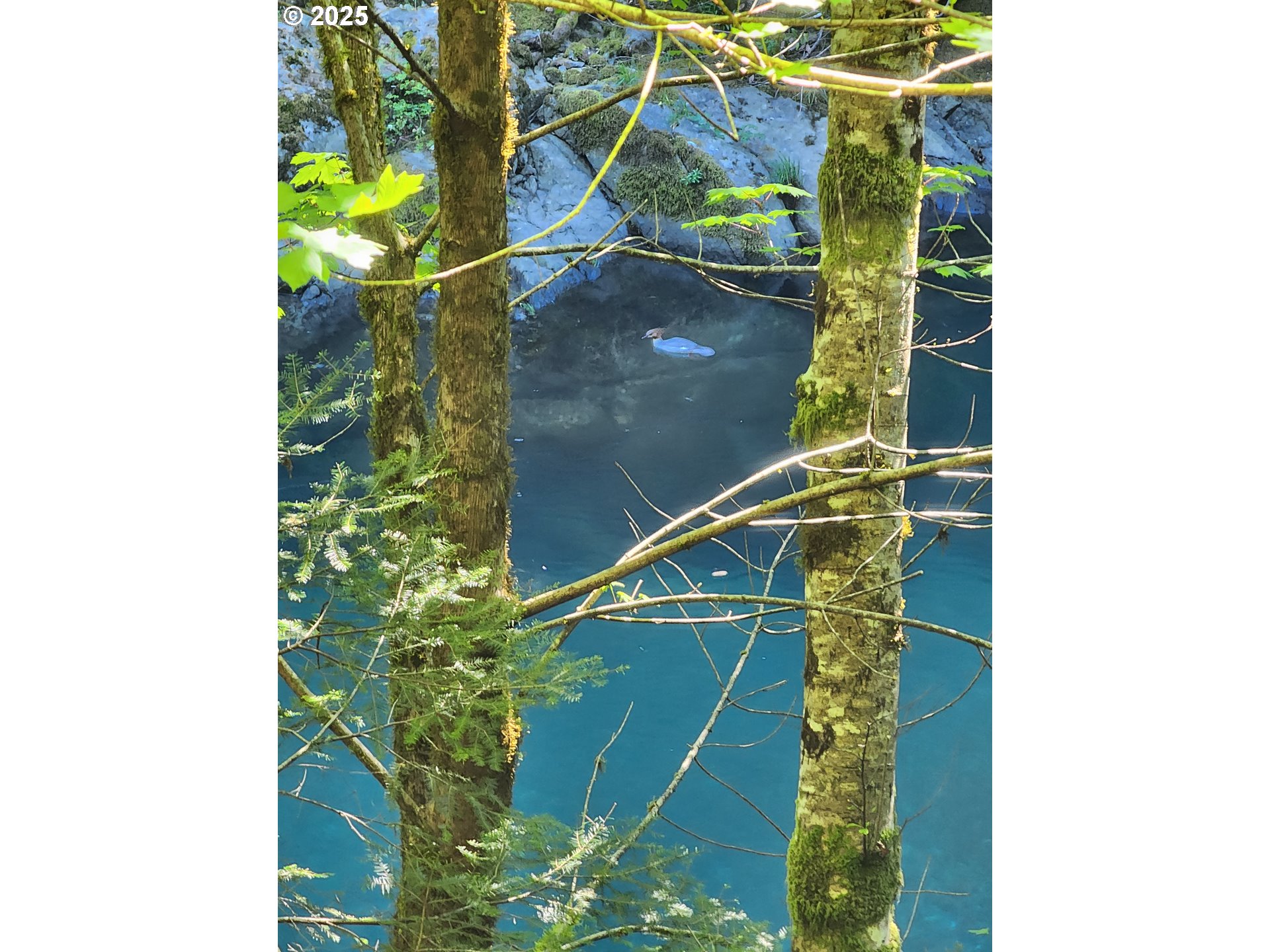 0 Southeast Elk River Road Port Orford, OR 97465 - Photo 30 of 30