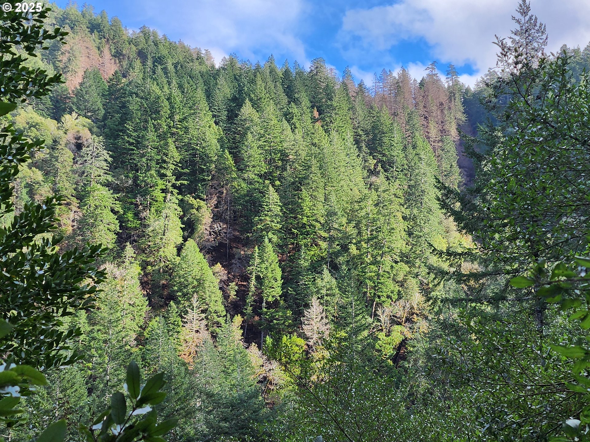 0 Southeast Elk River Road Port Orford, OR 97465 - Photo 7 of 30