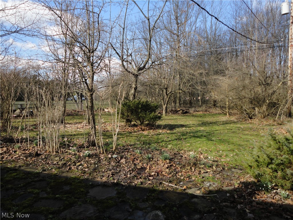 7234 Maplewood Road Parma, OH 44130 - Photo 2 of 16 Private backyard