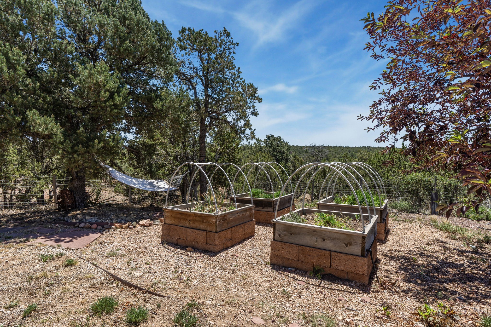 36 San Sebastian Road Santa Fe, NM 87505 - Photo 37 of 60 Rear Garden