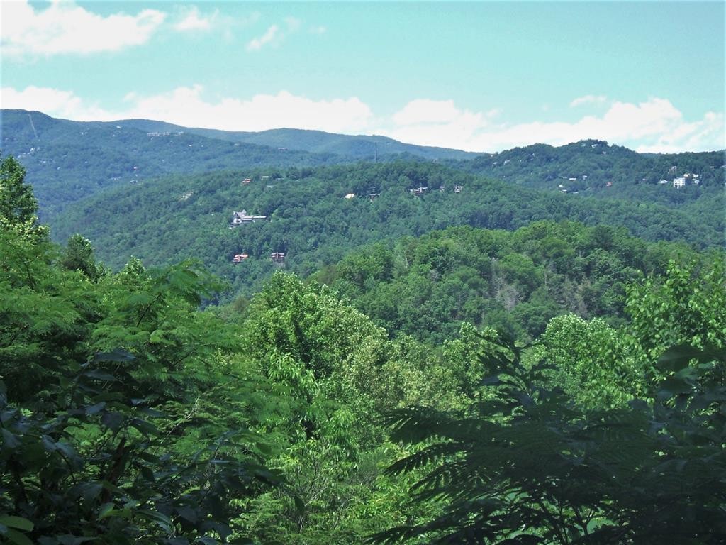261 Rattlesnake Hollow Road Gatlinburg, TN 37738 - Photo 1 of 10