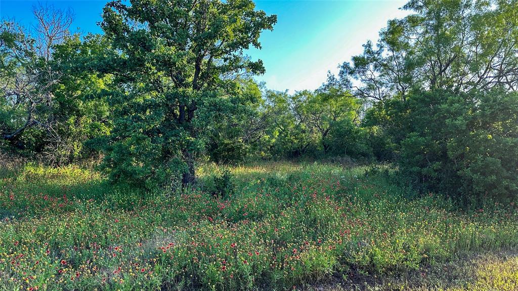 2417 Highway 569 Cisco Tx 76437 Cisco, TX 76437 - Photo 9 of 40