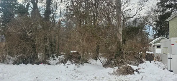 a view of a yard covered in snow