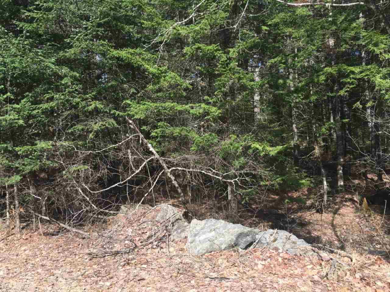 Tom Berry Road Center Barnstead, NH 03225 - Photo 3 of 11