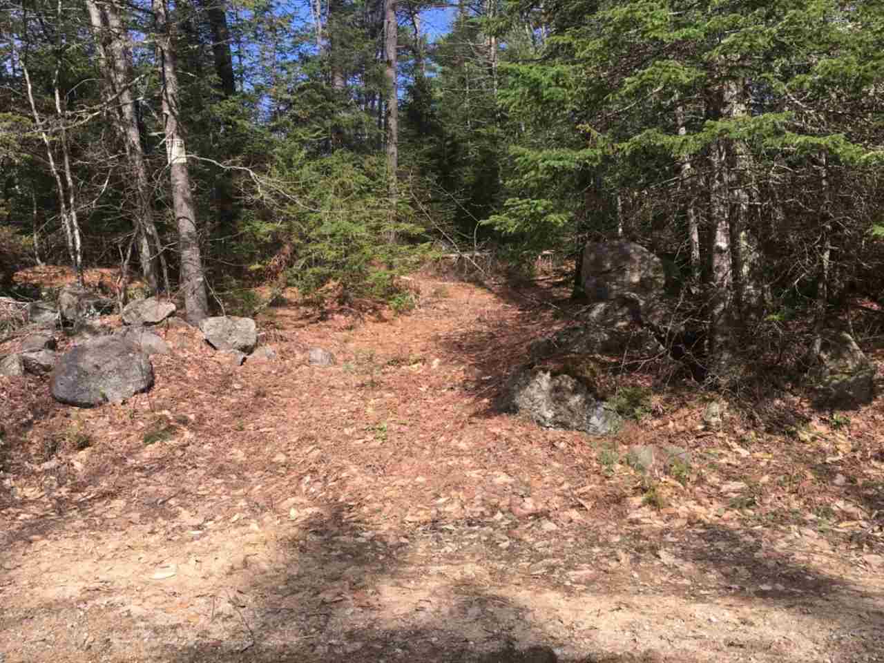 Tom Berry Road Center Barnstead, NH 03225 - Photo 5 of 11