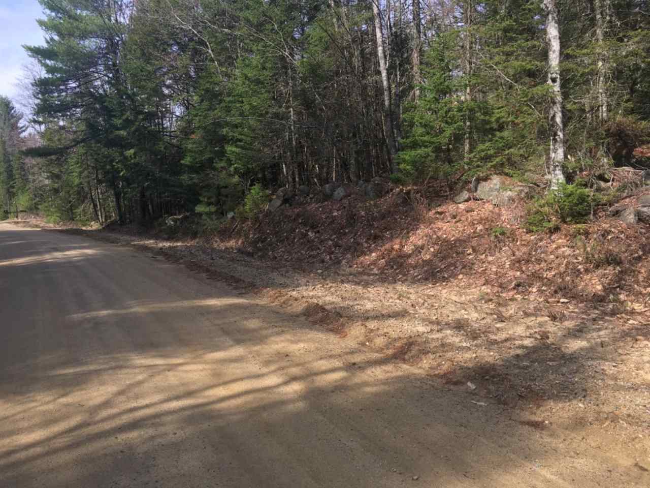 Tom Berry Road Center Barnstead, NH 03225 - Photo 6 of 11