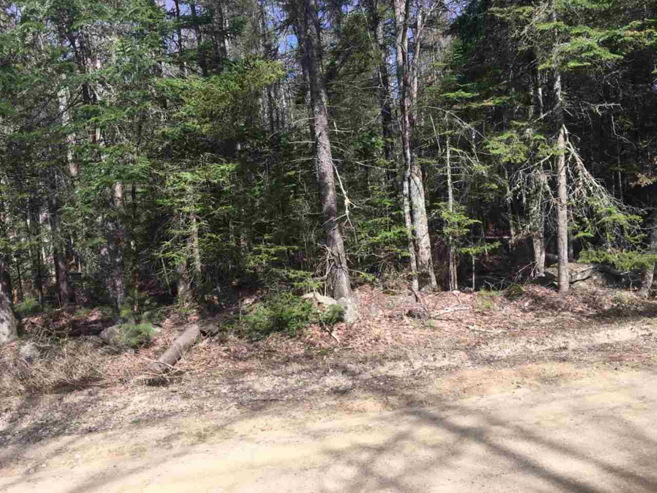 Tom Berry Road Center Barnstead, NH 03225 - Photo 7 of 11