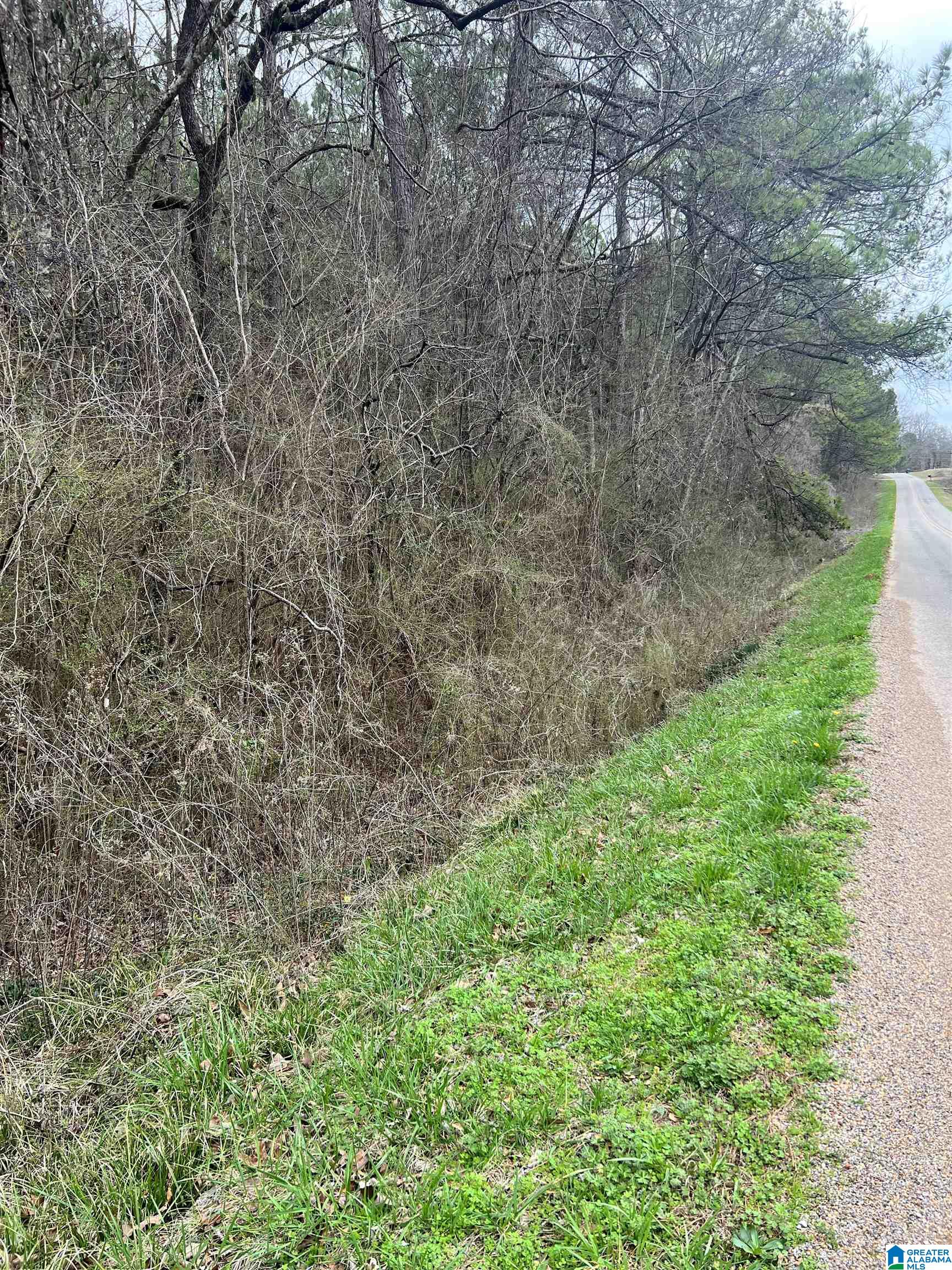 Marble Quarry Road, Unit 1 Talladega, AL 35160 - Photo 3 of 11