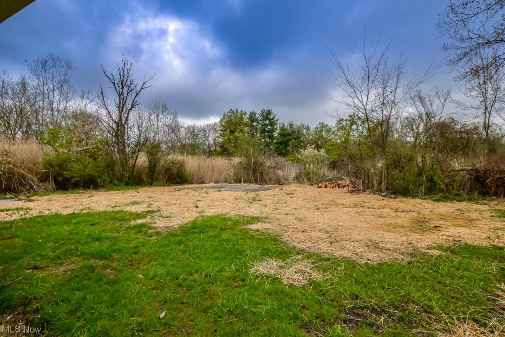 1737 Eastern Road Barberton, OH 44203 - Photo 18 of 22 Backyard