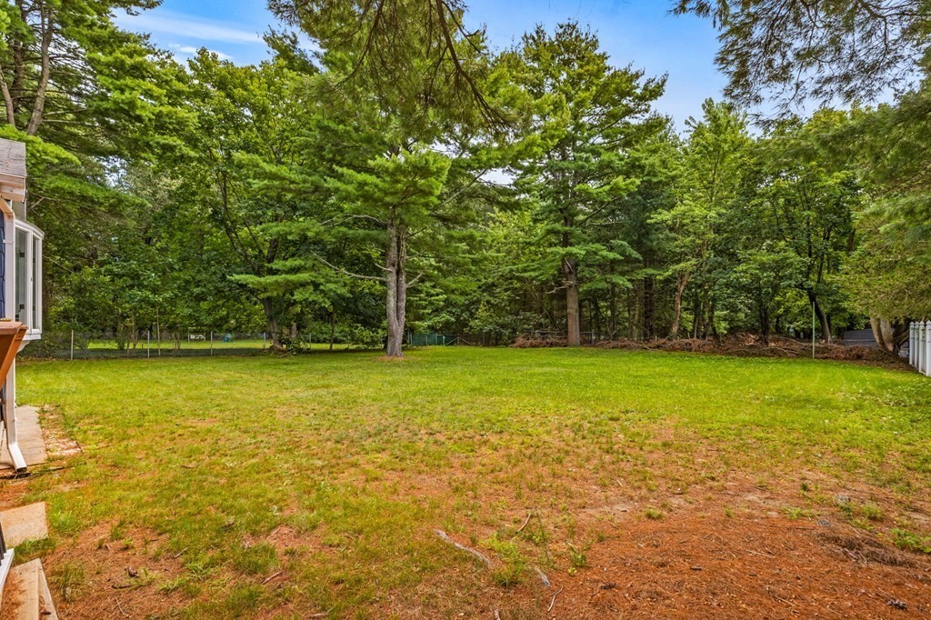 17 Pinetree Road Stoughton, MA 02072 - Photo 29 of 34 a view of a yard with a trees