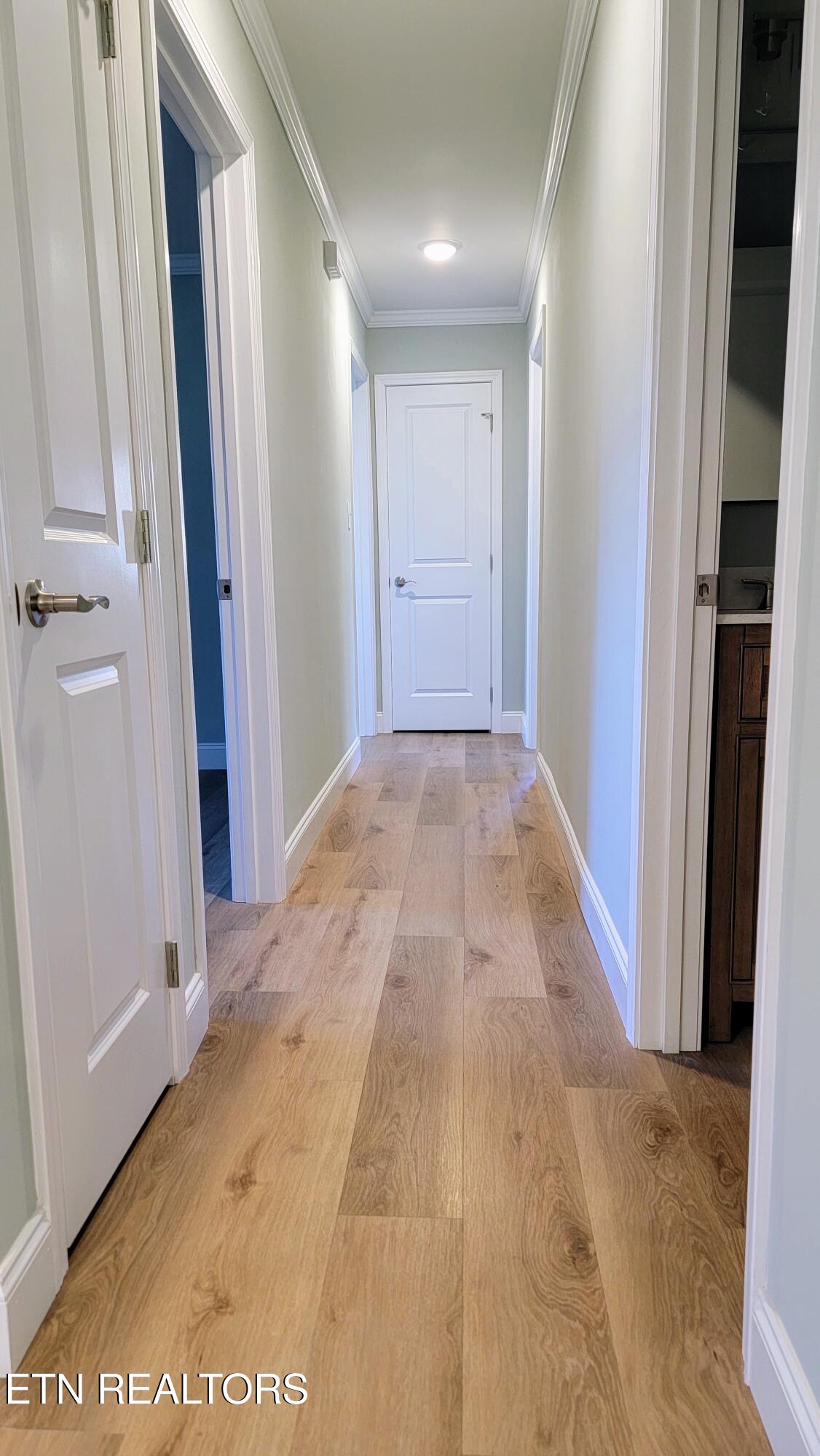 7112 Rollins Road Knoxville, TN 37918 - Photo 11 of 24 Hallway