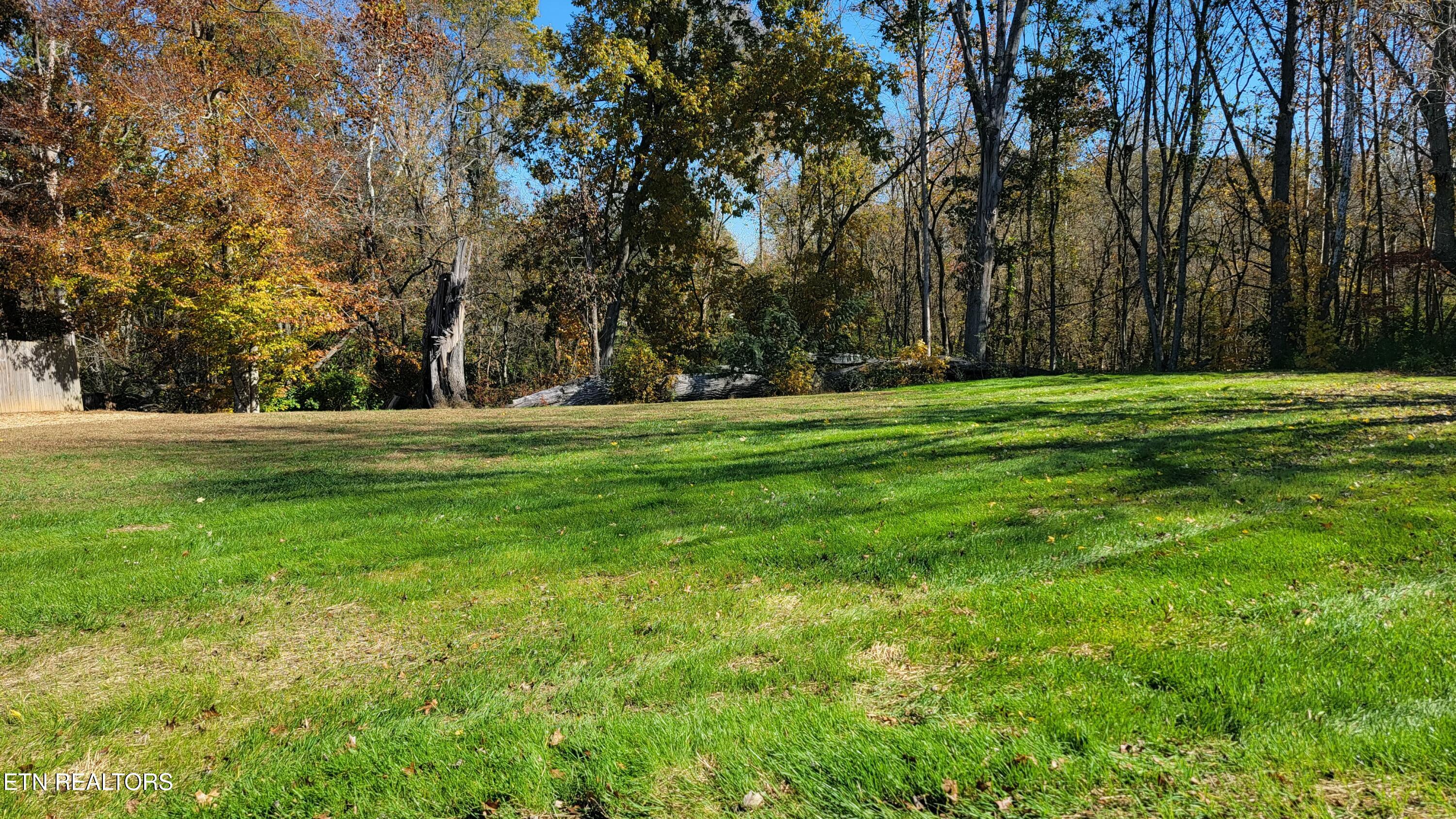 7112 Rollins Road Knoxville, TN 37918 - Photo 23 of 24 Backyard
