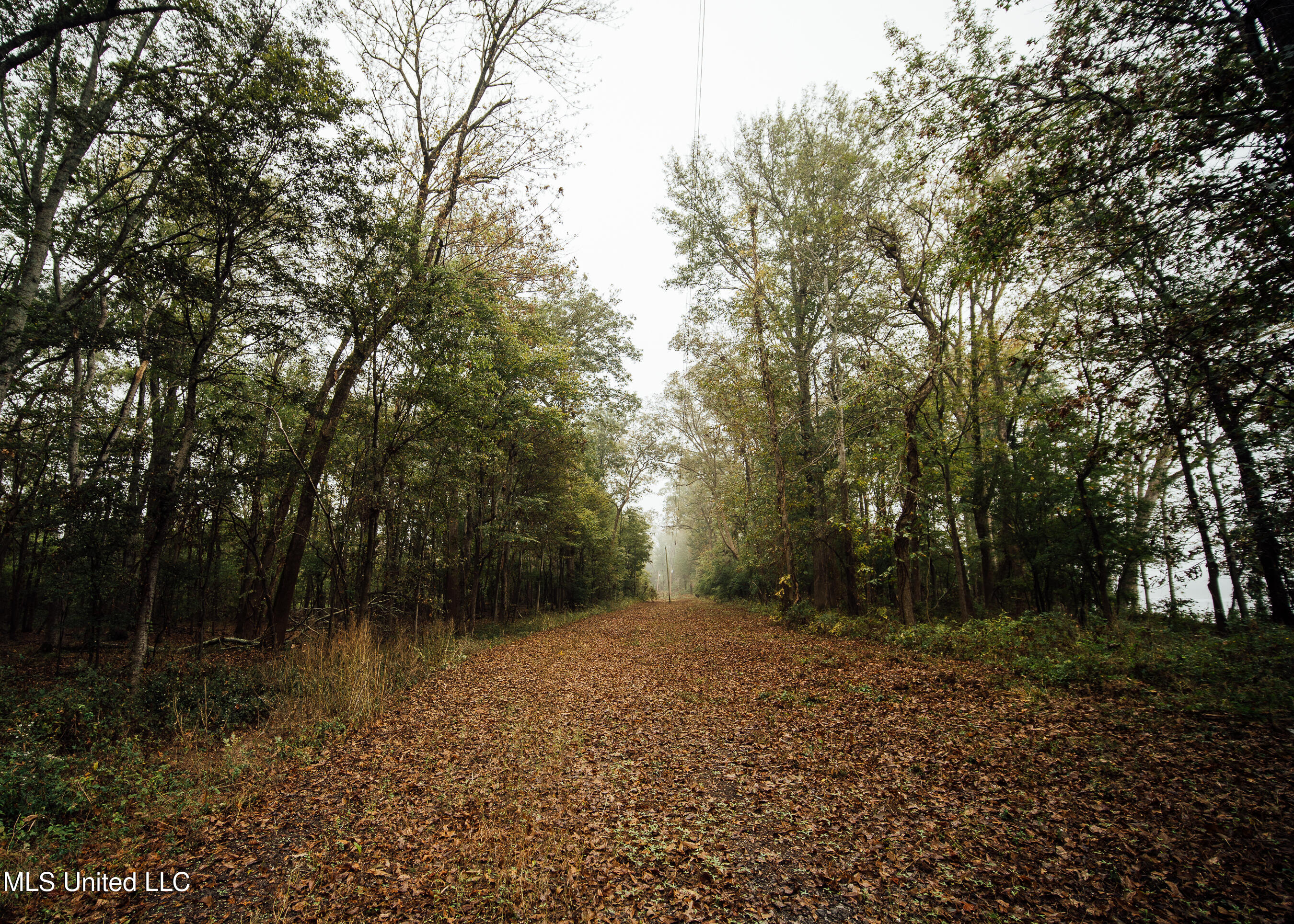 Ms-465 Rolling Fork, MS 39159 - Photo 40 of 64 39