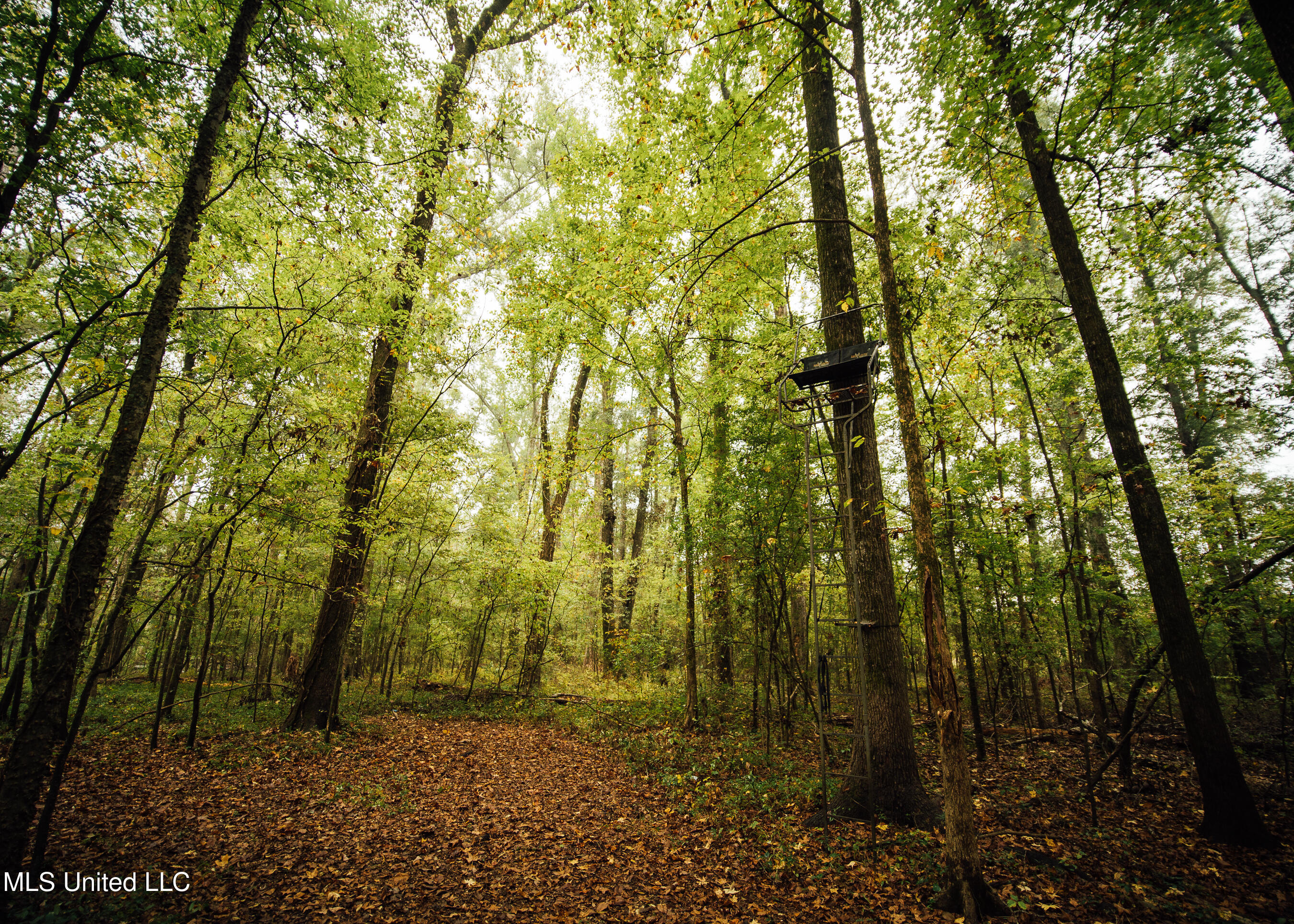 Ms-465 Rolling Fork, MS 39159 - Photo 51 of 64 50