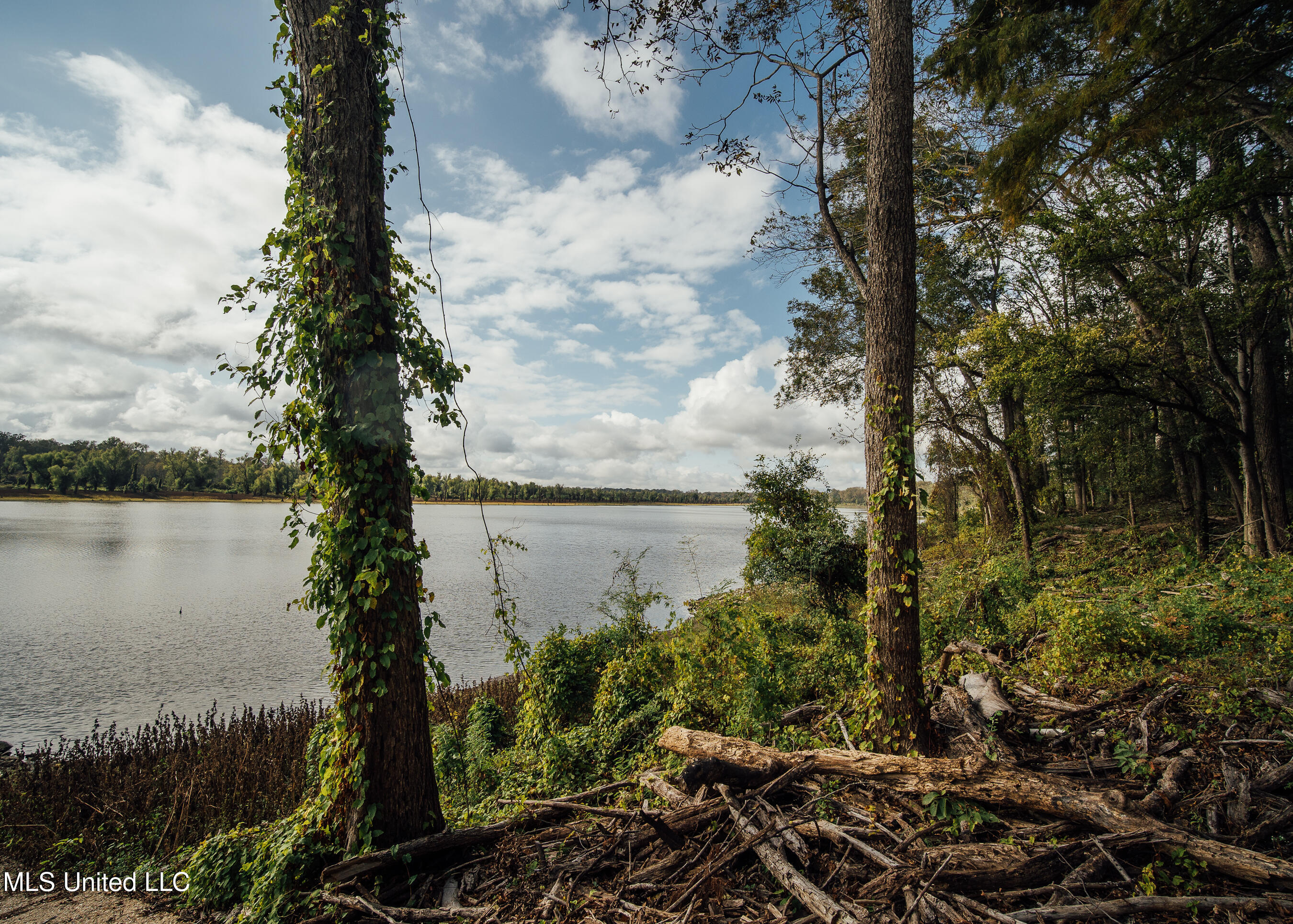 Ms-465 Rolling Fork, MS 39159 - Photo 57 of 64 56