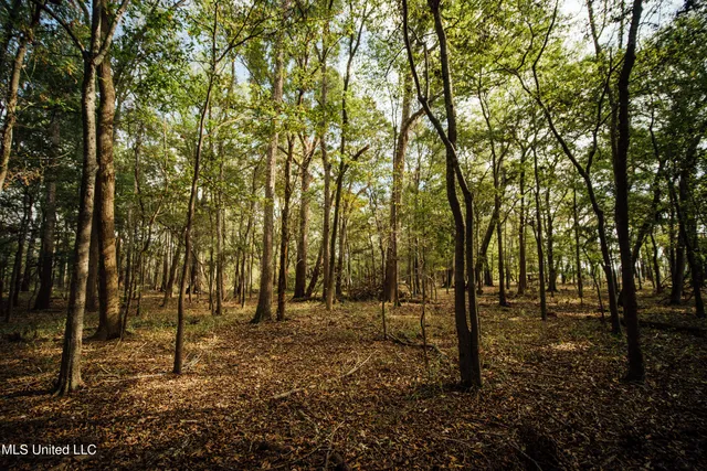 $799,900 | Ms-465, Rolling Fork, MS 39159