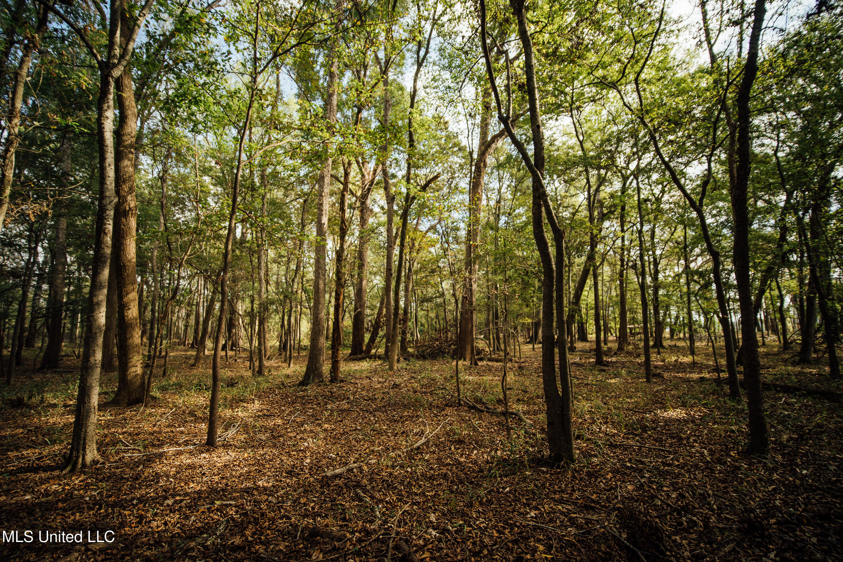 Ms-465 Rolling Fork, MS 39159 - Photo 59 of 64 58