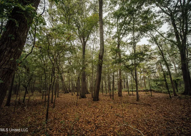 $799,900 | Ms-465, Rolling Fork, MS 39159