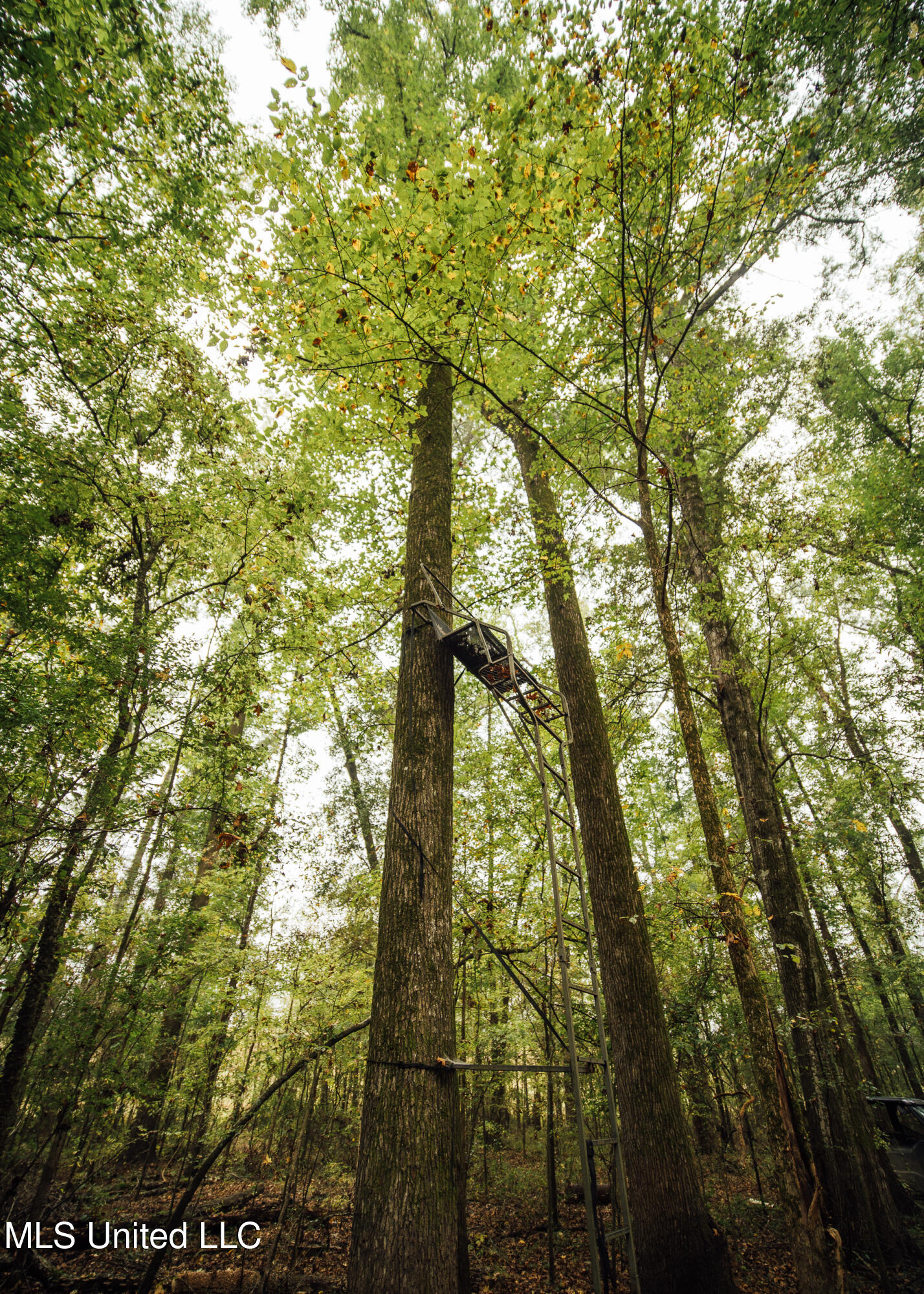 Ms-465 Rolling Fork, MS 39159 - Photo 62 of 64 c
