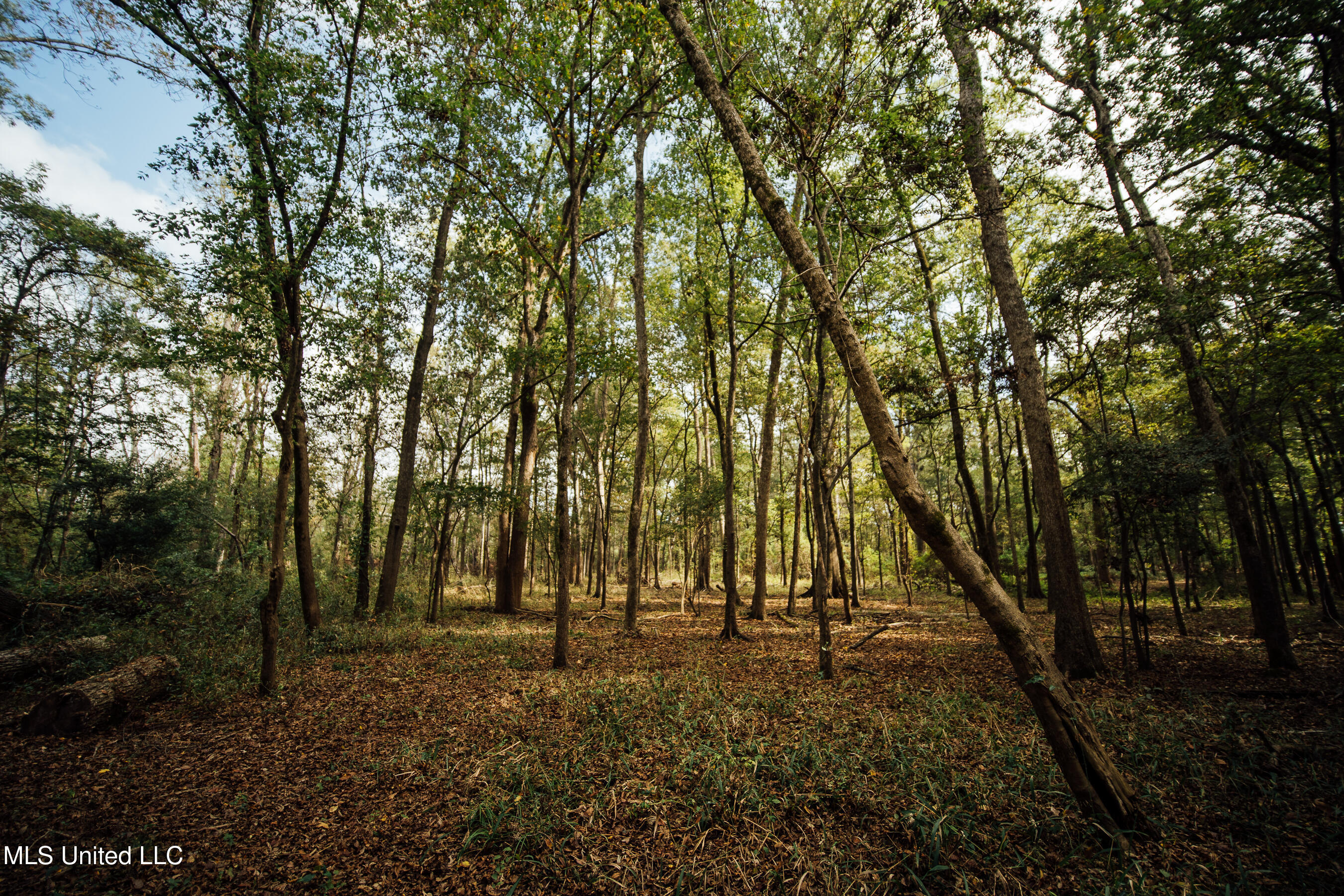 Ms-465 Rolling Fork, MS 39159 - Photo 63 of 64 d