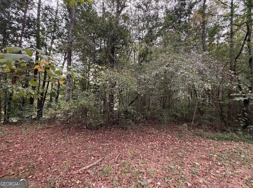 0 Lebanon Church Road, Unit TRACT 1 Jefferson, GA 30549 - Photo 12 of 15 Gallery Image 12