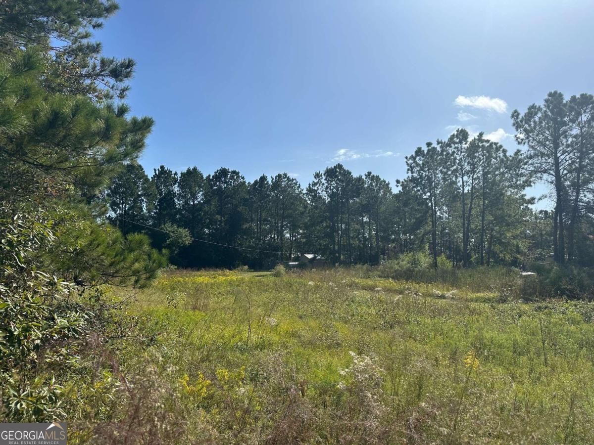 2259 Old Jesup Road Brunswick, GA 31525 - Photo 1 of 1 Gallery Image 1