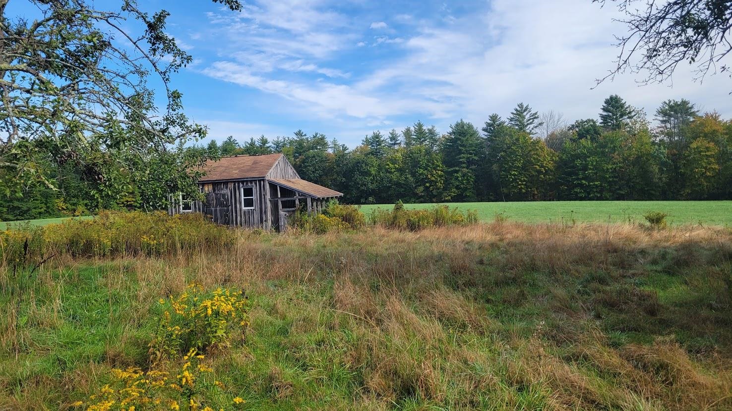 146 Hartshorn Road Barnstead, NH 03218 - Photo 3 of 32