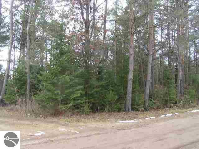 1911 Vaughn Road National City, MI 48748 - Photo 5 of 6 1743016-6.JPG