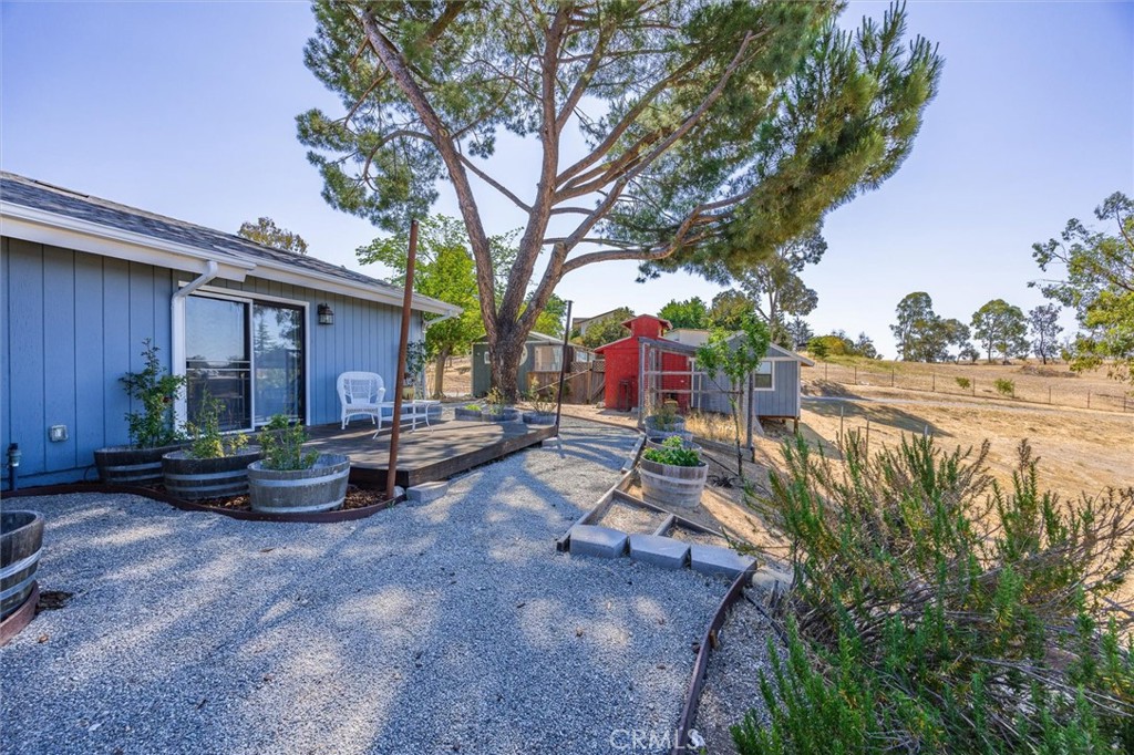 5175 White Tail Place Paso Robles, CA 93446 - Photo 25 of 37 a view of a backyard with table and chairs potted plants and large tree