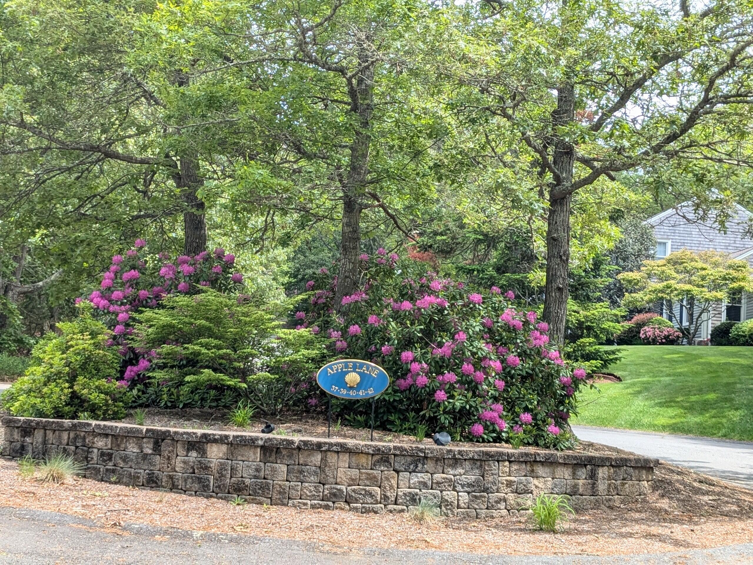 32 Apple Lane Dennis, MA 02638 - Photo 43 of 48 1000012376