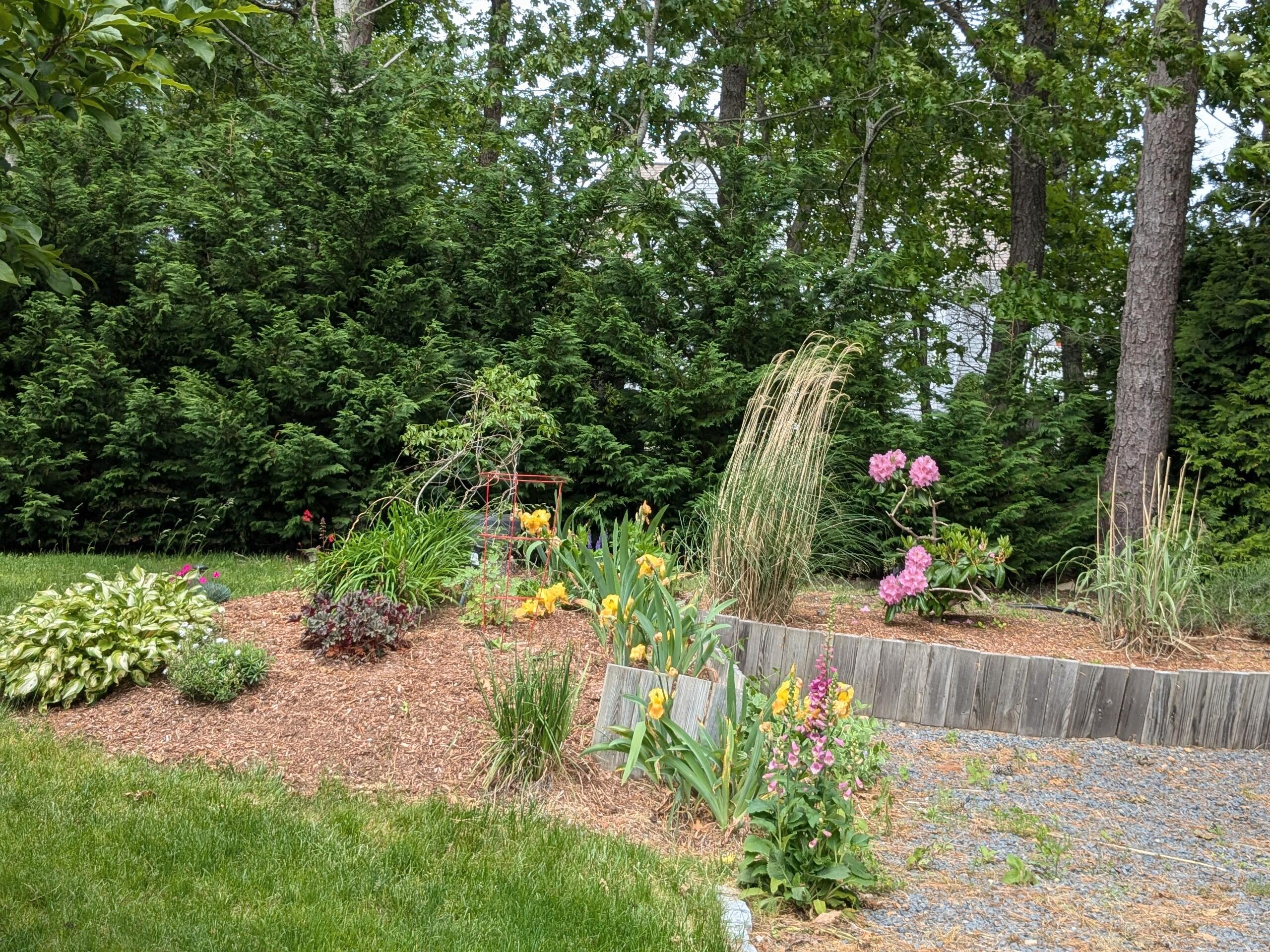 32 Apple Lane Dennis, MA 02638 - Photo 45 of 48 a view of flower garden with a yard