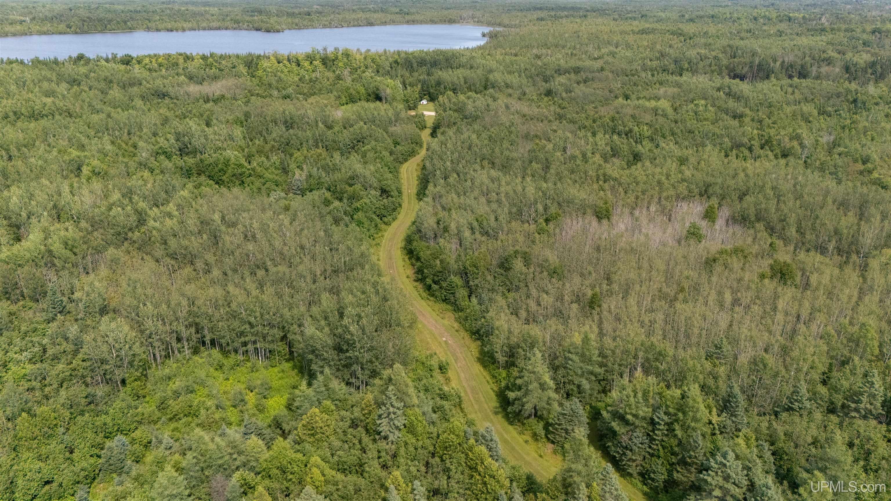 35-acres Town Line Road Gulliver, MI 49840 - Photo 8 of 23 Gallery Image 8