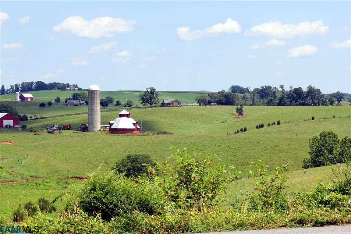 980 Shelby Road Madison, VA 22727 - Photo 5 of 36 a green field with lots of green space