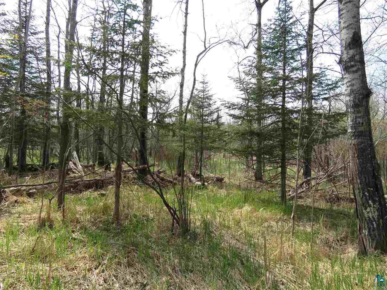 3736 Johnson Road Hermantown, MN 55811 - Photo 1 of 13 Gallery Image 1