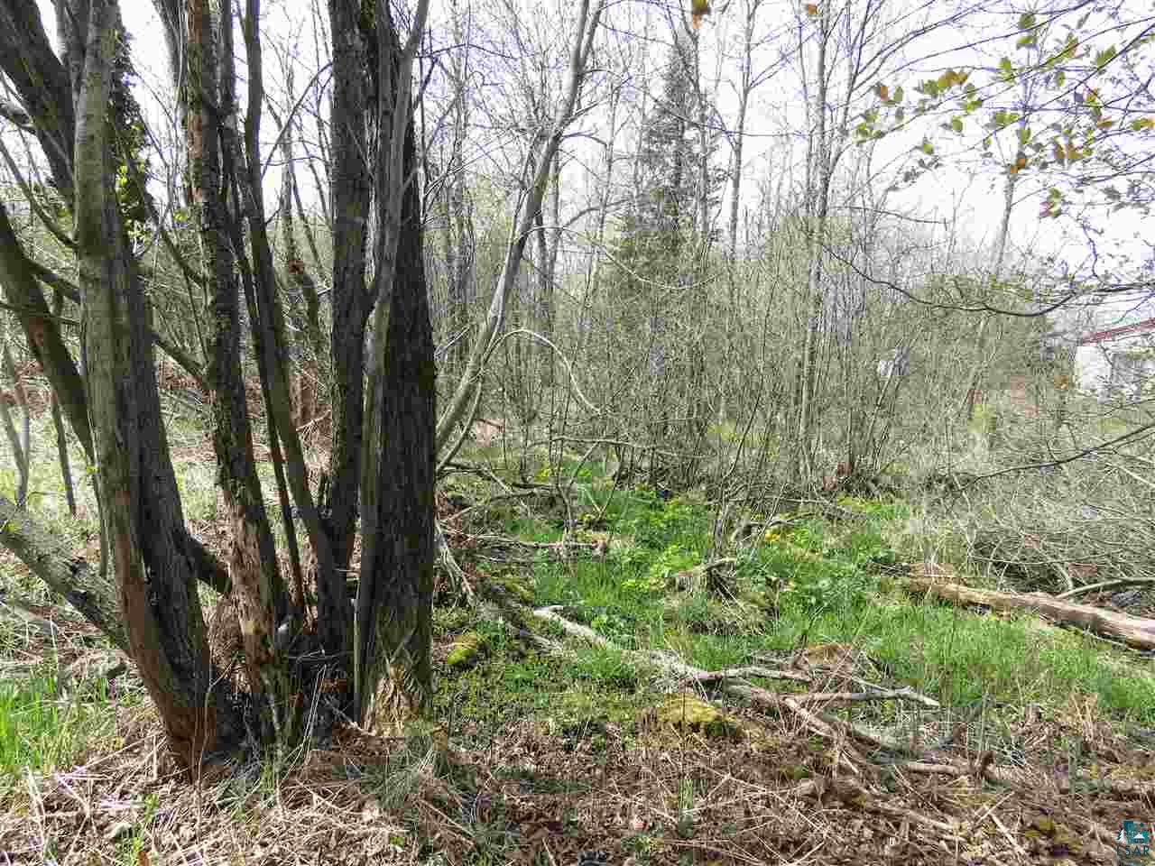 3736 Johnson Road Hermantown, MN 55811 - Photo 11 of 13 Gallery Image 11