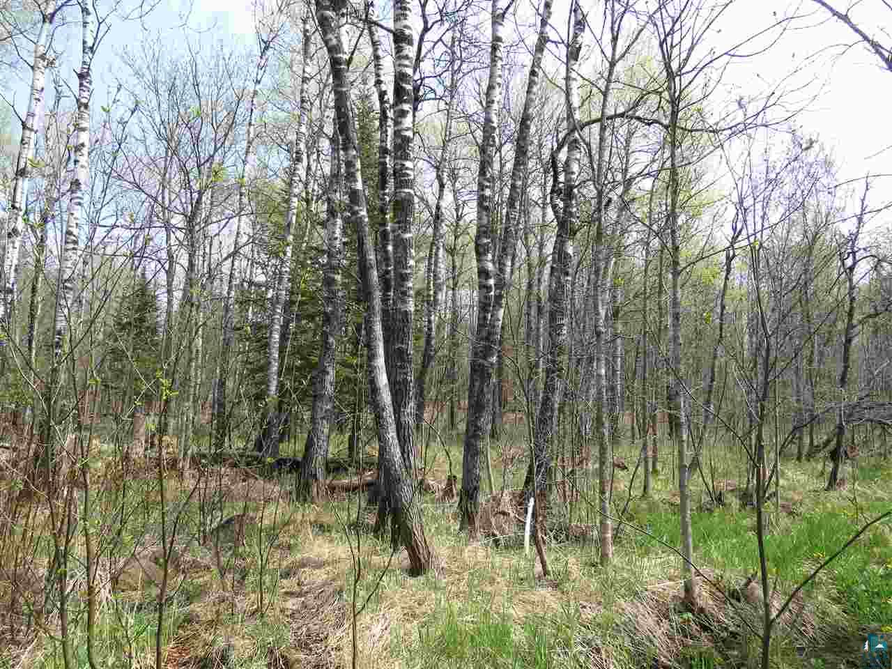 3736 Johnson Road Hermantown, MN 55811 - Photo 4 of 13 Gallery Image 4