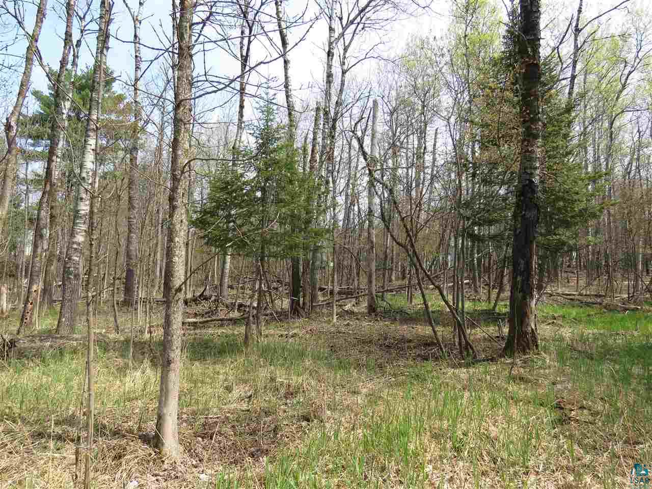 3736 Johnson Road Hermantown, MN 55811 - Photo 7 of 13 Gallery Image 7