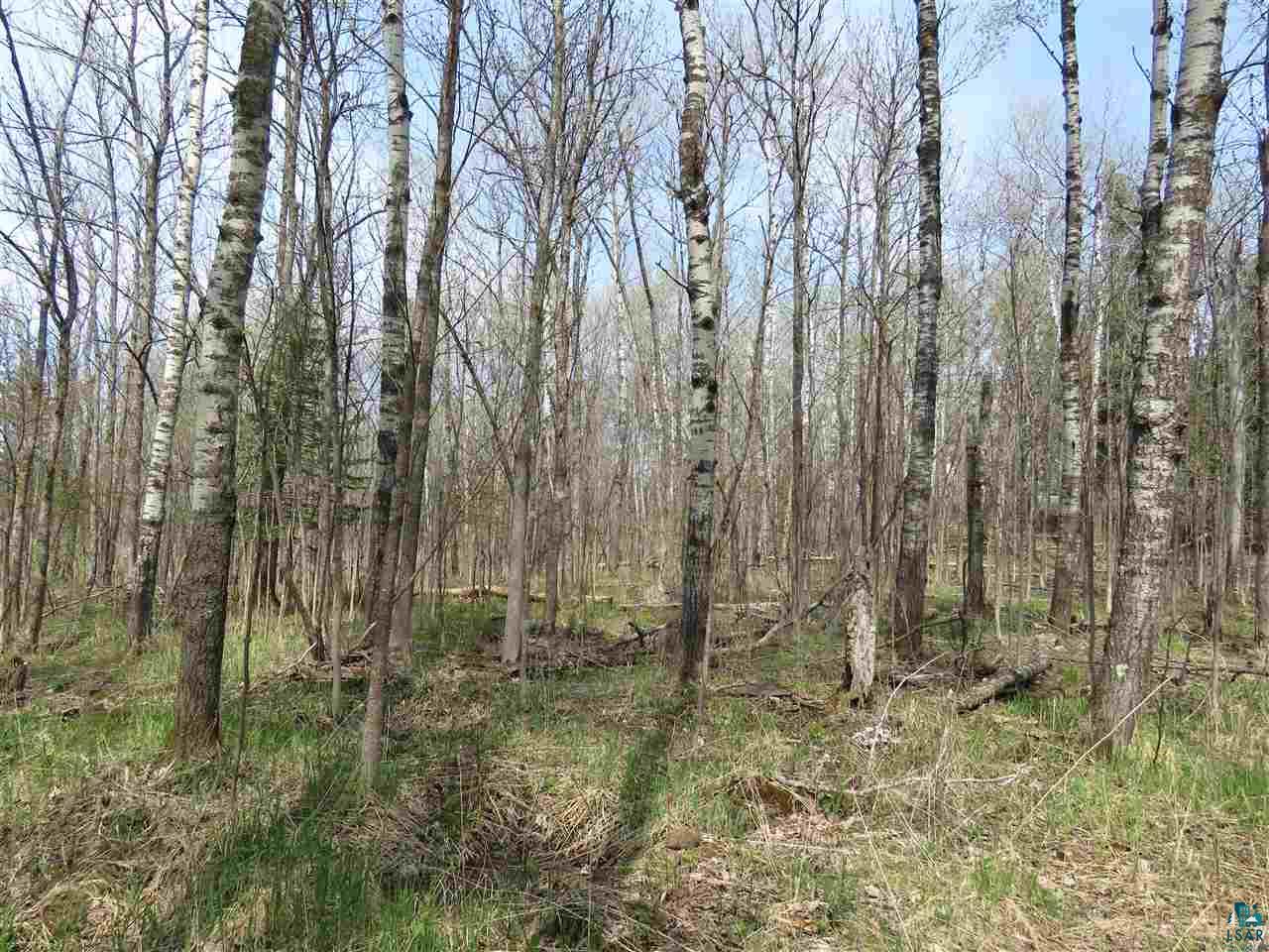 3736 Johnson Road Hermantown, MN 55811 - Photo 8 of 13 Gallery Image 8
