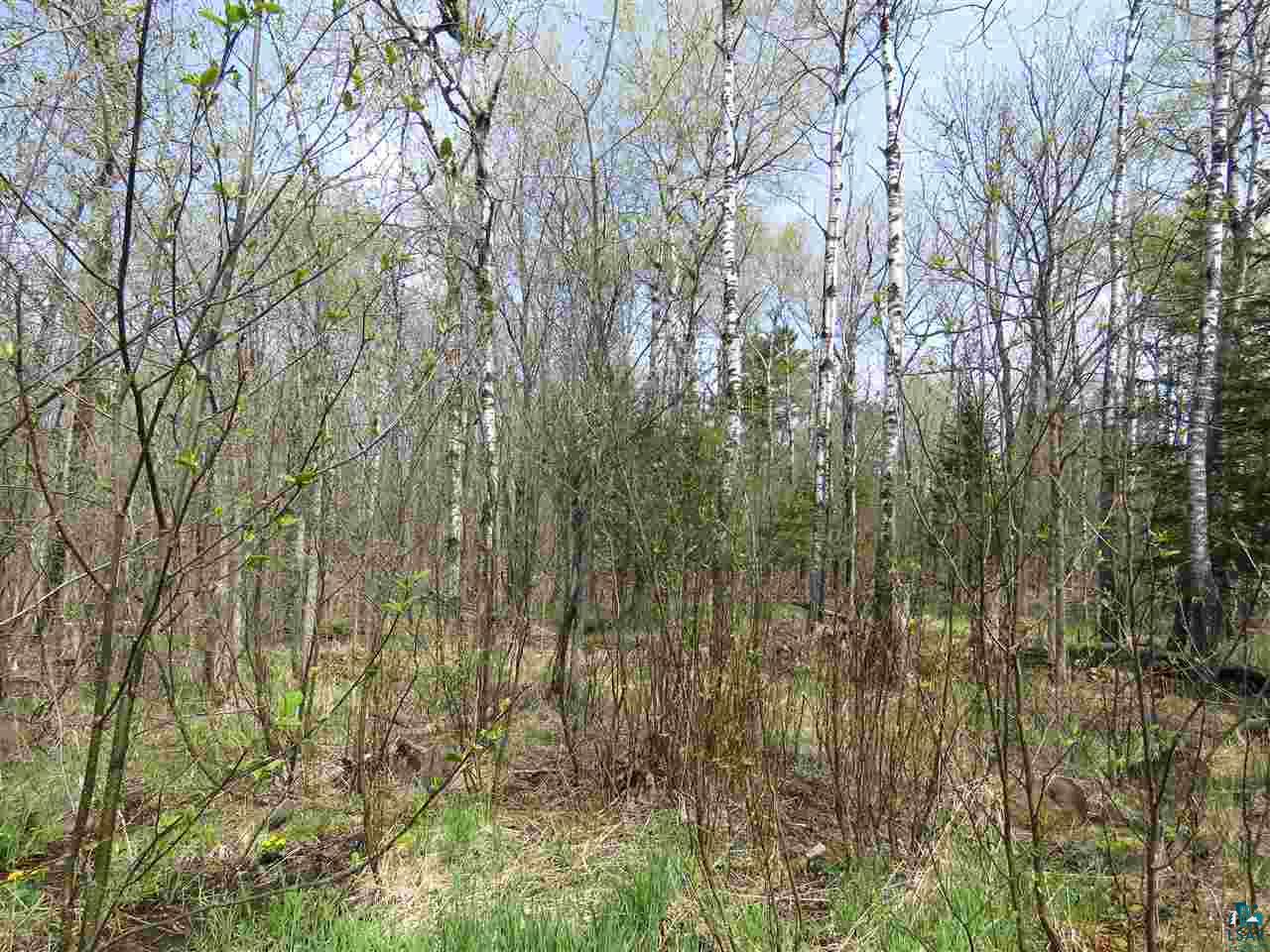 3736 Johnson Road Hermantown, MN 55811 - Photo 10 of 13 Gallery Image 10