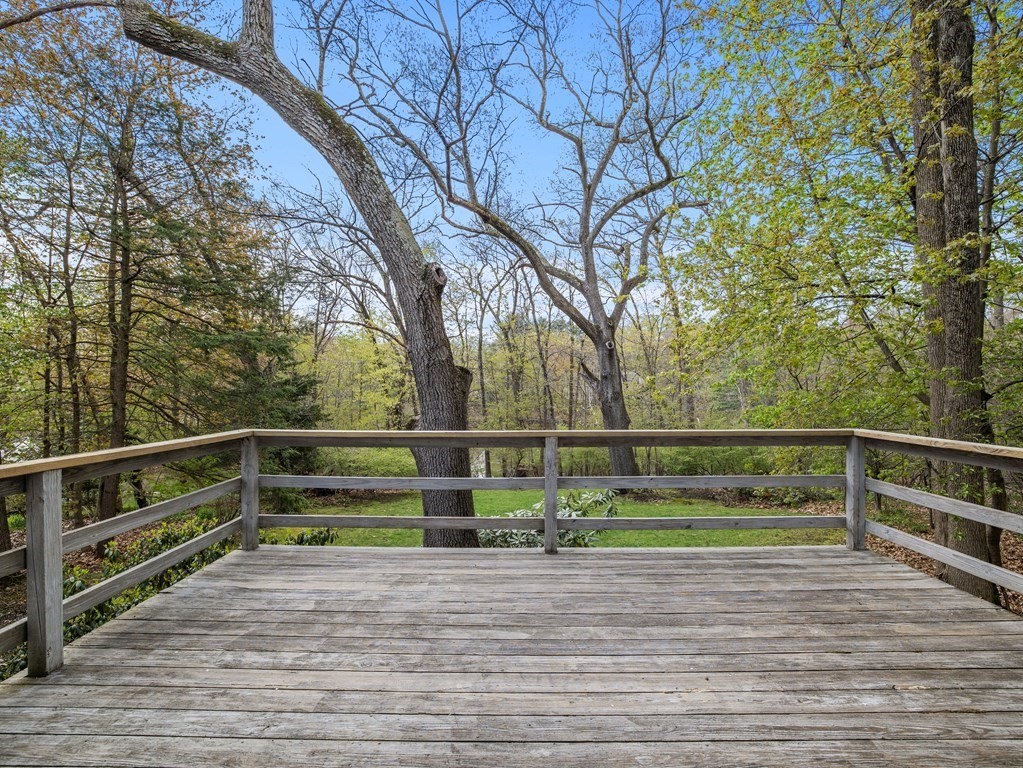 110 Glen Road Wellesley, MA 02481 - Photo 20 of 22 a view of outdoor space with trees