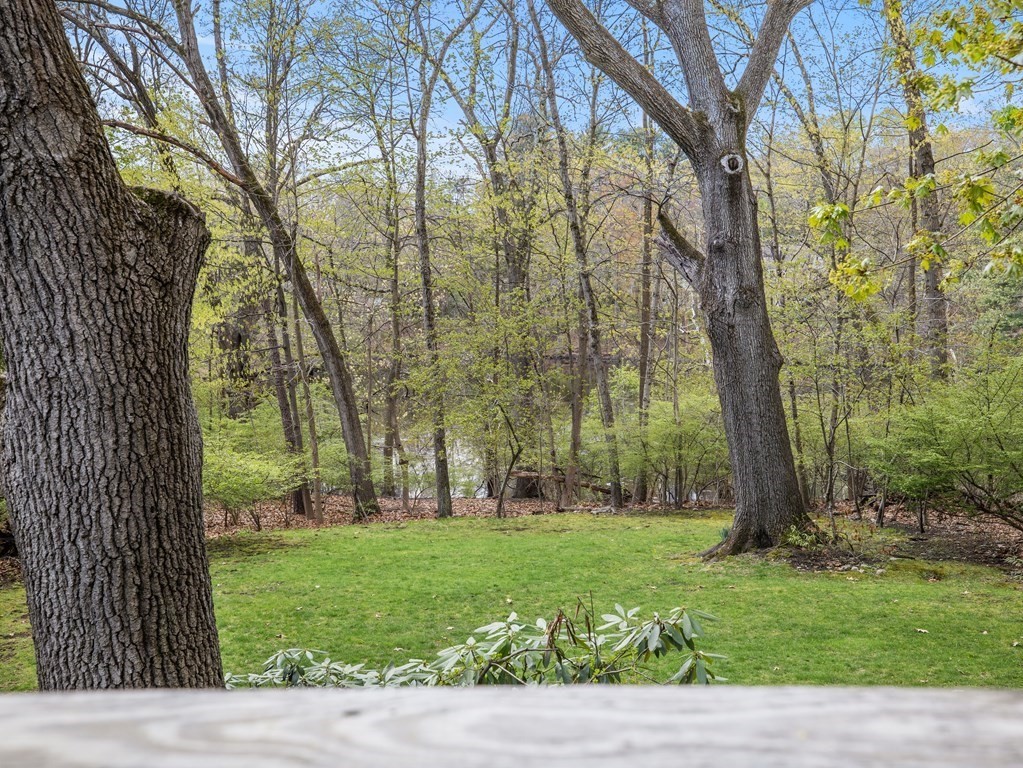 110 Glen Road Wellesley, MA 02481 - Photo 21 of 22 a backyard of a house with lots of green space