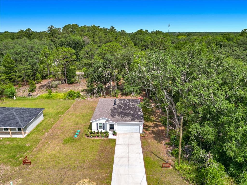 50 Bay Road Ocklawaha, FL 32179 - Photo 11 of 51