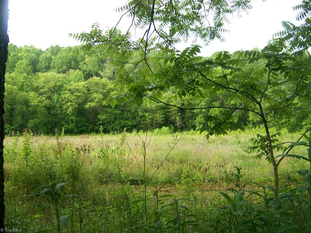 507 York Road Mount Airy, NC 27030 - Photo 2 of 4 Gallery Image 2