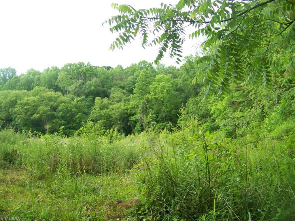 507 York Road Mount Airy, NC 27030 - Photo 3 of 4 Gallery Image 3