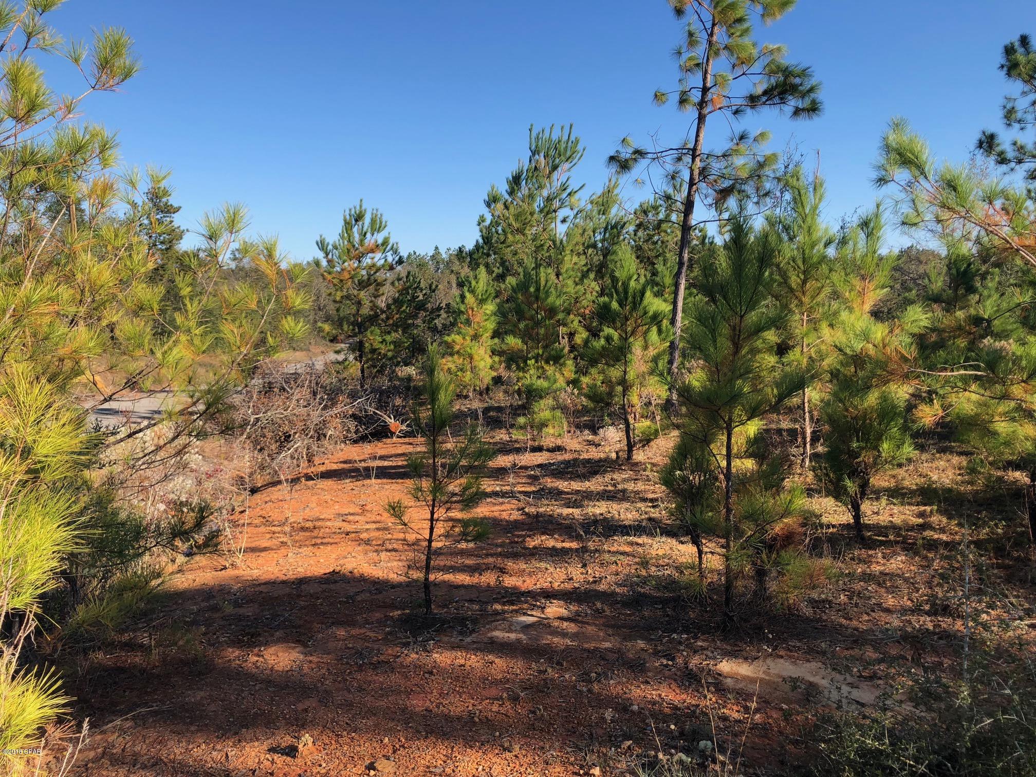 Lot 2 Old Mill Road Chipley, FL 32428 - Photo 4 of 14