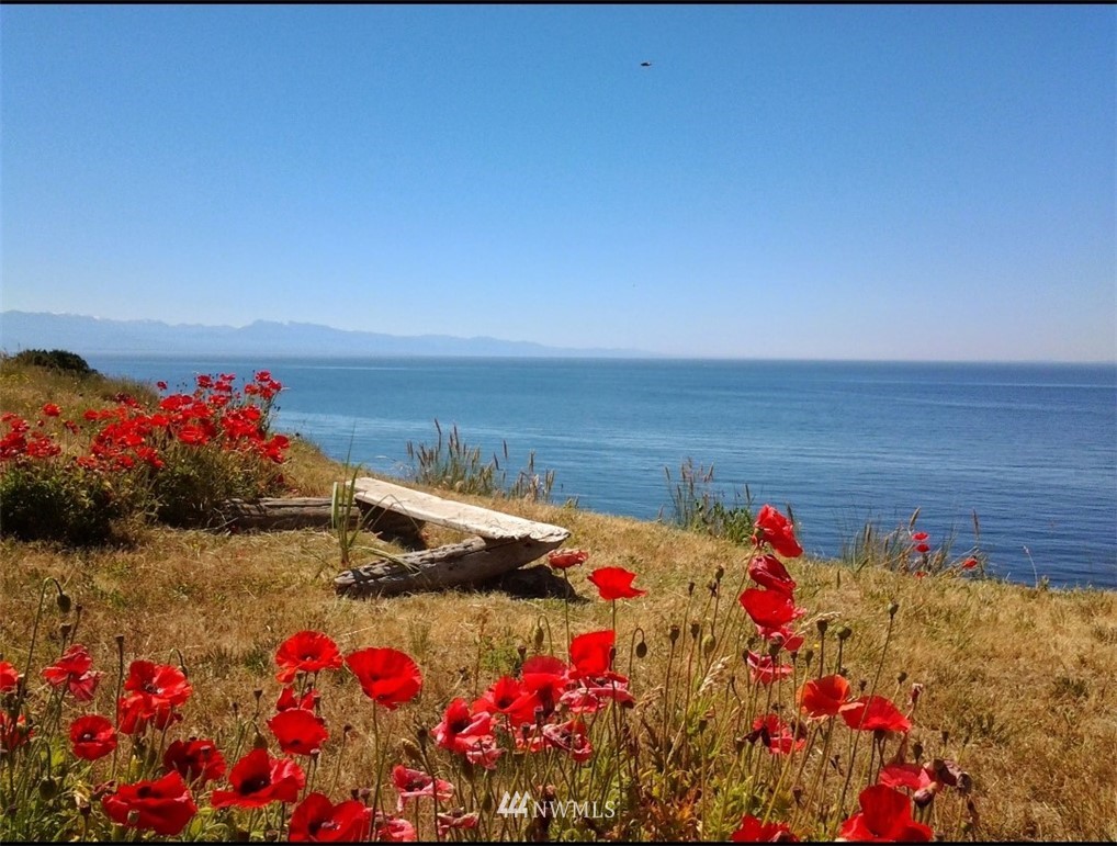 1991 West Beach Road Oak Harbor, WA 98277 - Photo 16 of 40 Gallery Image 16